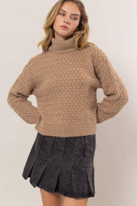 Tamarack Turtleneck Sweater