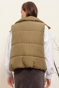 Puffed Up Puffer Vest (2 Colors)