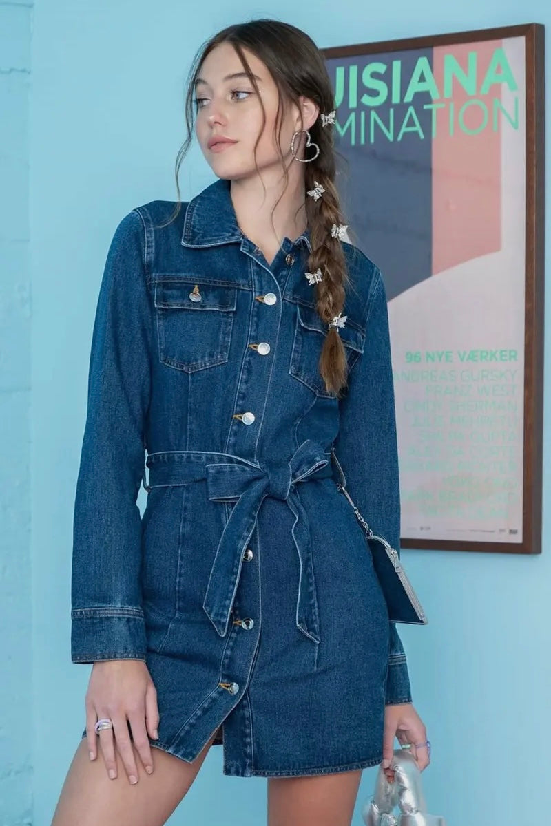 Denim Daisy Dress